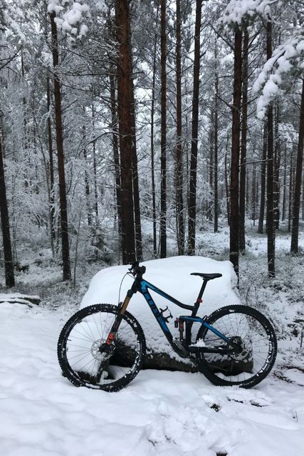 Cube-maastopyörä talvella metsässä